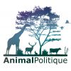 Élections législatives 2017 : Invitons les candidats à s’engager pour les animaux !
