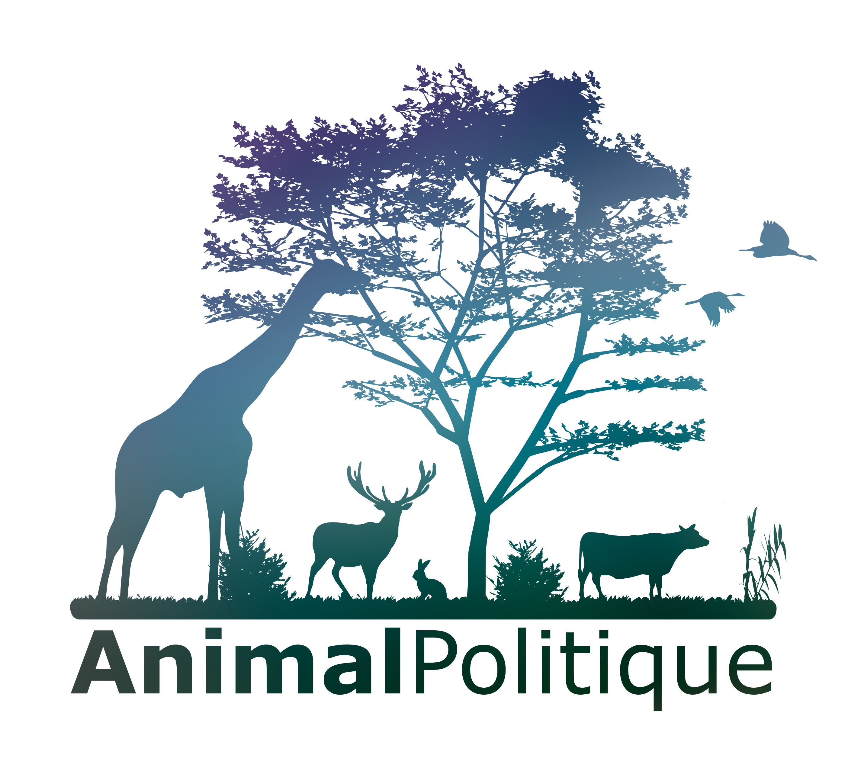 Animal_Politique_fond_blanc