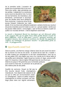 brochure-renard-p7