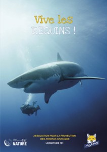 couv-brochure-requins