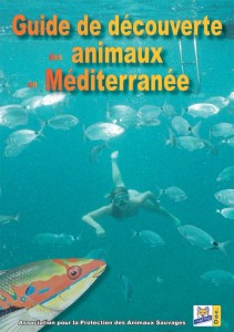 Guide de découverte des animaux en Méditerranée