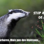 15 mai : fête des barbares, mais pas des blaireaux !