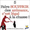 Vérité sur la chasse en France 5/10 :  Faire souffrir des animaux, c'est légal à la chasse !
